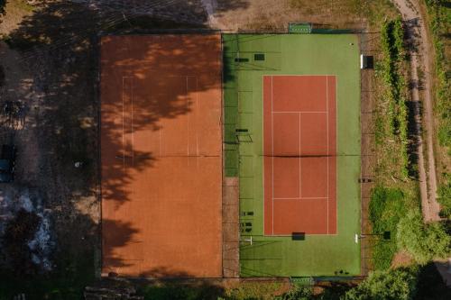 Tenis a/nebo squash v ubytování Olandia nebo okolí