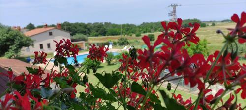 Moratto's Apartments