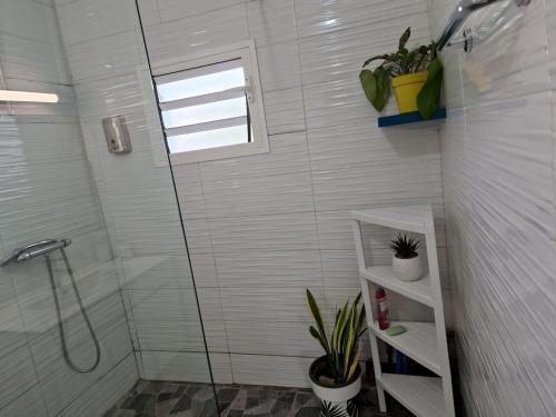 a bathroom with a shower with plants in it at La Vue De Haut- T3 avec vue imprenable sur la mer in Bouéni