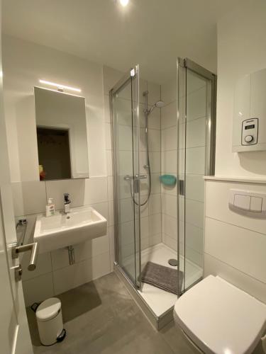 een badkamer met een douche, een toilet en een wastafel bij Apartment Nr. 8 Bad Laasphe Altstadt in Bad Laasphe