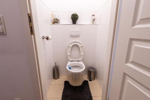 a small bathroom with a toilet in a stall at SISSI beautifully designed apatment close to main train station in Vienna