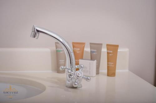 a sink with a faucet and some products on a counter at Avoca Vale Country Hotel in Louis Trichardt