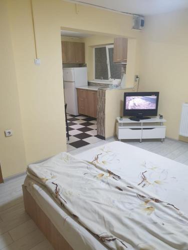 Zimmer mit einem Bett und einer Küche mit einem TV in der Unterkunft Garsoniera 1 in Bukarest