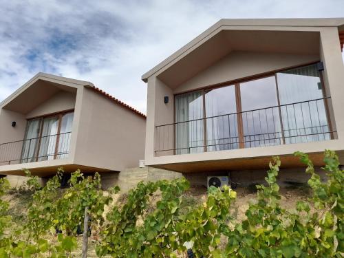 a house with large windows and vines at Quinta Manhas Douro in Provesende