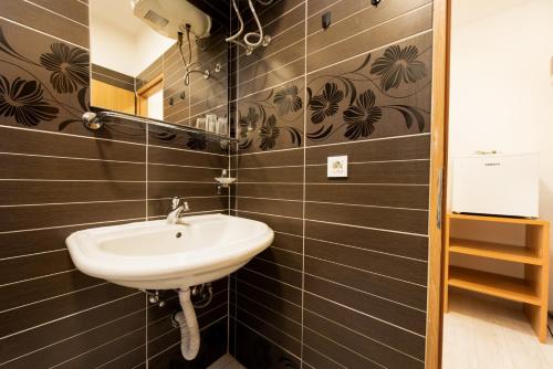 a bathroom with a sink and a mirror at Hotel Potpican in Potpićan
