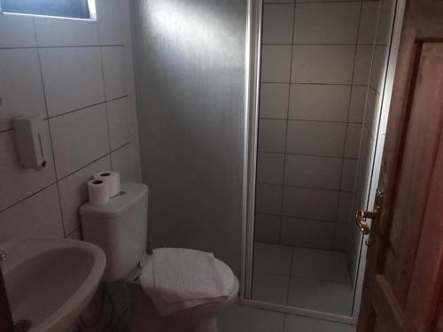 KumlucaAda Adrasan Hotel的配有马桶、水槽和淋浴的浴室