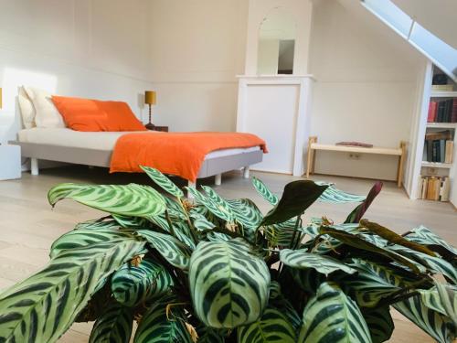 um quarto com uma cama e uma planta verde em Maison d'Artiste em Gent