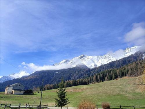 uma casa num campo com montanhas ao fundo em Albergo Ristorante Selva em Poschiavo