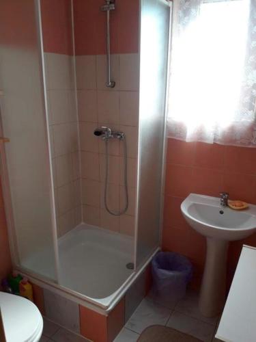 a bathroom with a shower and a sink at Zakątek nad Sanem, Załuż 128 in Załuż