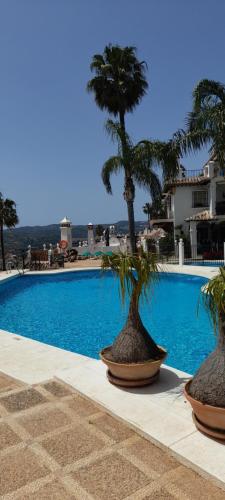 twee potbomen naast een zwembad bij Andalusialaistyyppinen, 3 makuuhuoneen asunto Casa Zarina, Puebla Aida, Mijas in Santa Fe de los Boliches