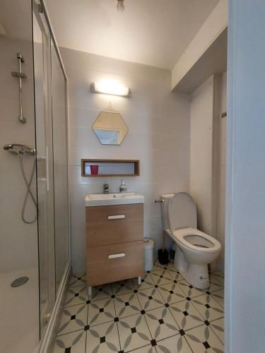 La salle de bains est pourvue de toilettes, d'un lavabo et d'une douche. dans l'établissement Appartement Duplex très lumineux en centre ville, à Janzé