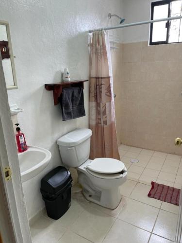 y baño con aseo, lavabo y ducha. en Sensity Home Casa confortable en Fracc Privado Céntrica, en Tehuacán