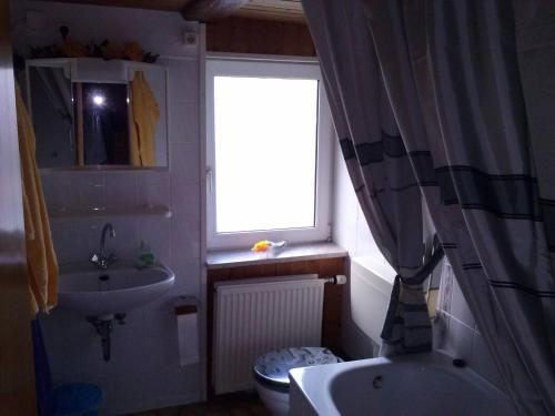 a bathroom with a sink and a toilet and a window at Apartment 1 Langelsheim Harz in Langelsheim