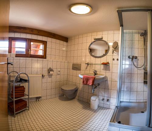 a bathroom with a shower and a toilet and a sink at Gästehaus Holzer Kreuz -Ferienwohnung "Kornblume" in Fröhnd