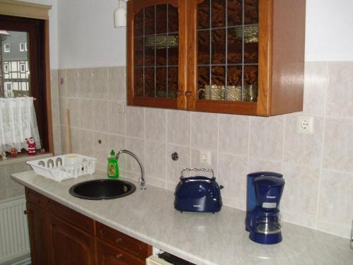 W kuchni znajduje się umywalka i toster. w obiekcie Apartment 2 Langelsheim Harz w mieście Langelsheim