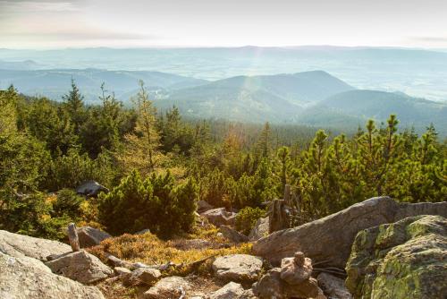 a view from the top of a mountain with rocks and trees at Aparthotel Apartamenty Czarna Góra 414 in Sienna