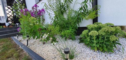 Jardín al aire libre en Czarne Nad Białym