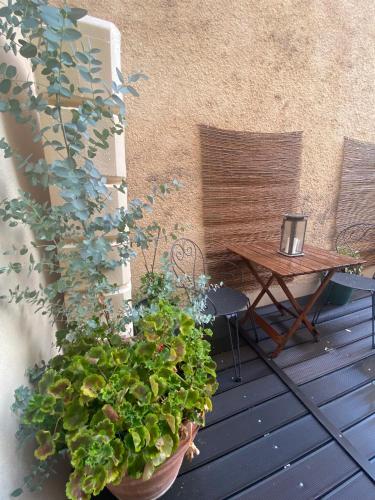 a potted plant sitting on a patio with a table at Le Passagran in Boën