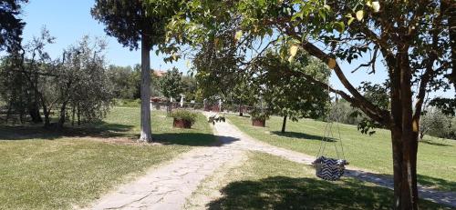 Villa Poggio le Vignacce – Photos 3