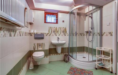 ステンジツァにあるAwesome Home In Stezyca With Wifiのバスルーム(トイレ、洗面台、シャワー付)