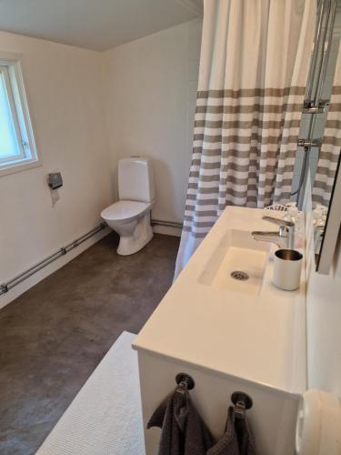 een witte badkamer met een toilet en een wastafel bij Liten stuga med fantastiskt läge in Tofta
