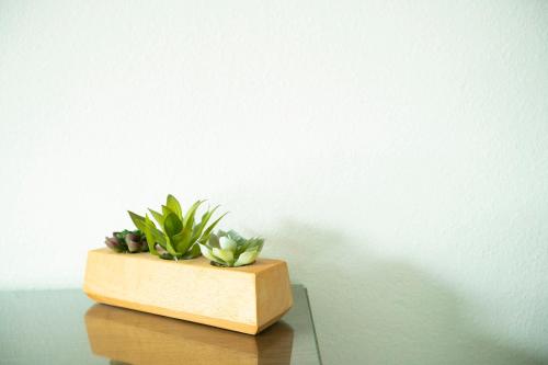 a wooden box with plants on top of a table at Casa Limonada Boutique Motel in Sarasota