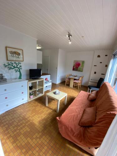 een woonkamer met een bank en een tafel bij Chelonia Mydas in Hastière-par-delà