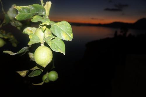 Paesaggio naturale nelle vicinanze dell'hotel
