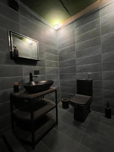 a bathroom with a sink and a toilet at Gzaze in Stepantsminda