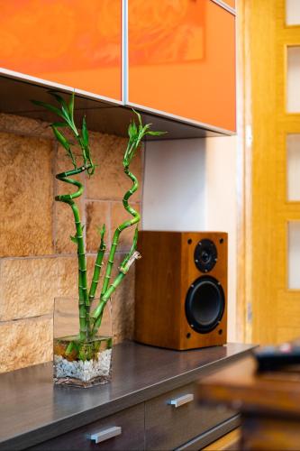 a plant sitting on a counter with a speaker at piso vacacional en la playa de Rodeira in Cangas de Morrazo