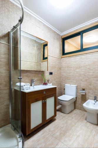 een badkamer met een toilet, een wastafel en een douche bij piso vacacional en la playa de Rodeira in Cangas de Morrazo