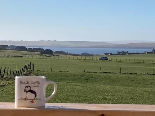 a coffee cup with a penguin on it sitting on a ledge at Loanside Lodge, Self-Catering, Holm, Orkney. in Saint Marys