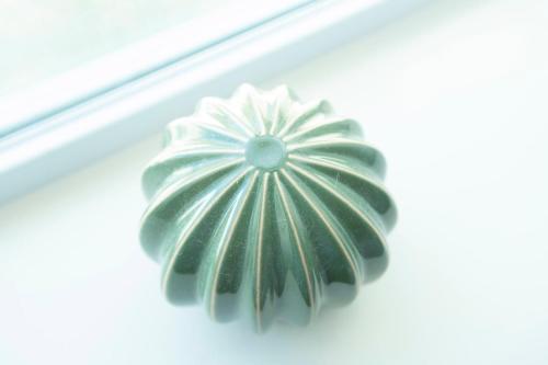 a green button with a white flower on a white background at Casa Limonada Boutique Motel in Sarasota