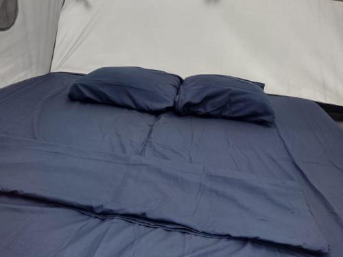 a bed with two blue pillows in a tent at Camping Tequendama Playa Arrecifes Parque Tayrona in El Zaino