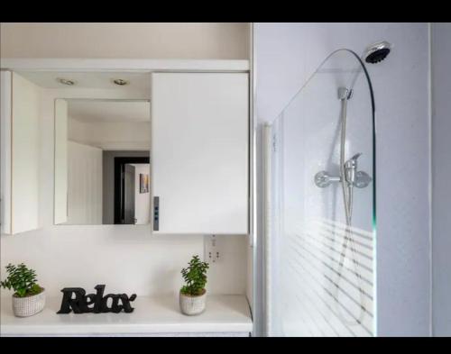 ein Badezimmer mit einer Dusche mit 2 Topfpflanzen und einem Spiegel in der Unterkunft Marston 5 Bedroom Home With Parking Near NEC & BHX in Marston Green
