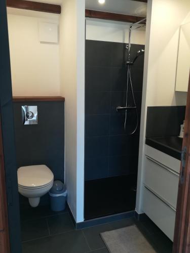une salle de bain avec toilettes et douche dans l'établissement TY MERVENT, l'océan à 500 m, à Saint-Jean-Trolimon