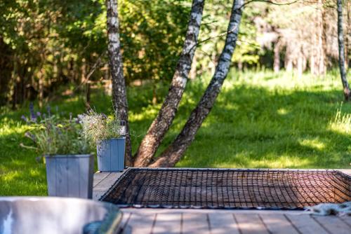 Zahrada ubytování BRENDIS -'Virš Ąžuolų' - Forest SPA - FREE jacuzzi