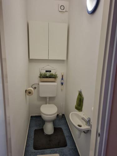 małą łazienkę z toaletą i umywalką w obiekcie Tudor Apartman w Segedynie