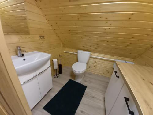 La salle de bains est pourvue de toilettes et d'un lavabo. dans l'établissement Dom NARIE na Mazurach nad Jeziorem Narie, à Bogaczewo