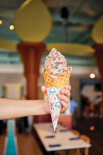 a person holding a cone of ice cream with sprinkles at Castaway Bay by Cedar Point Resorts in Sandusky