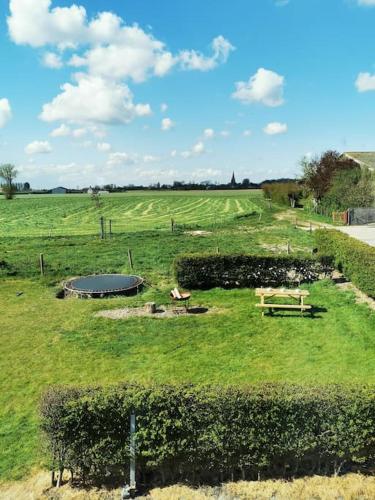 a green field with two picnic tables and a pond at De Beauven in Veurne