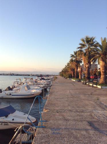 a group of boats docked at a dock with palm trees at SUNDAY HOUSE in Skala Kallirakhis