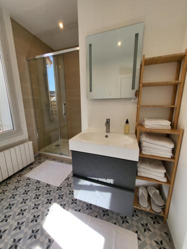 uma casa de banho com um lavatório e um chuveiro em Maison COSY à 4km BERCY ARENA 15mn PARIS gare 800m em Vitry-sur-Seine
