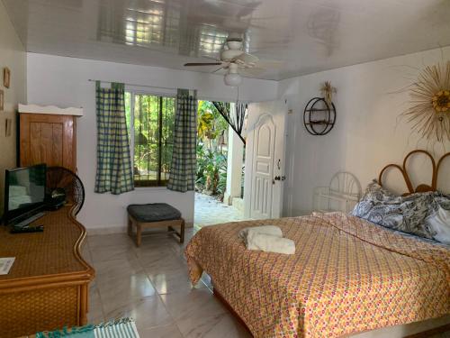 um quarto com uma cama e uma televisão em Villa Mar Sosua em Sosúa