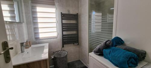 Koupelna v ubytování En hyper centre, logement climatisé entièrement rénové! Netflix - Amazon Prime - Terrasse - Le Nature Zen