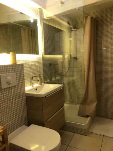 a bathroom with a toilet and a sink and a shower at Suites Residences Spa in Colmar
