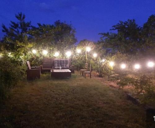 een rij lichten in een tuin 's nachts bij villa the Tulip JULIA in Julianadorp
