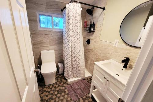 uma casa de banho com um WC, um lavatório e um espelho. em NEW! Hurleyville Upstate NY - your Catskills getaway with hot tub, sauna and firepit! em Hurleyville
