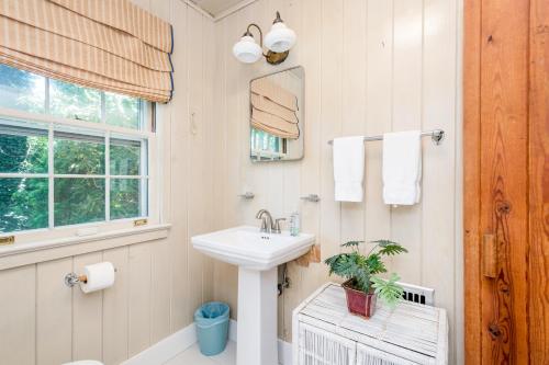 Sonshine Cottage في هيندرسونفيل: حمام مع حوض ونافذة