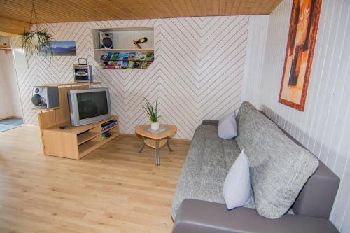 a living room with a couch and a tv at Ferienwohnung Lerch in Bregenz